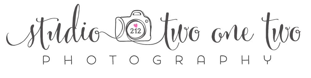 Columbia, SC Wedding, Engagement and Portrait Professional Photographer, Hallman Photography logo